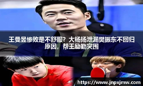 王曼昱惨败是不舒服？大杨扬泄漏樊振东不回归原因，帮王励勤突围